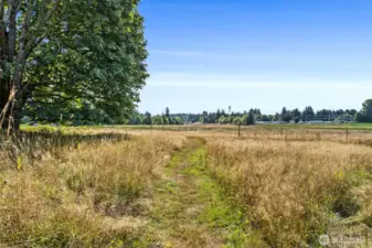 These pathways through the beautiful pasture - some revealing Mt Rainier views, are a favorite strolling spot for the owners. The adjacent parcels to the south of the property will never be developed, so this country character will remain for you to enjoy!