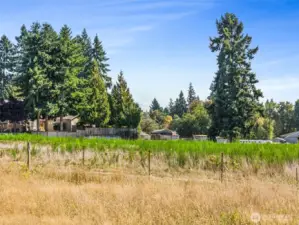 She was feeling kind of hazy on photo day, but you can see a glimpse of our beautiful Mt Rainier at the center of this photo - a beloved sight for the current owners of this great property!