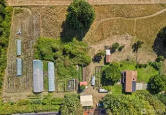 Own a piece of local history! Large home on 5 acres of prime farmland, harvest ready fruits & veggies, centruy-old apple trees & grand old butternut trees celebrate the heritage of this very special property.