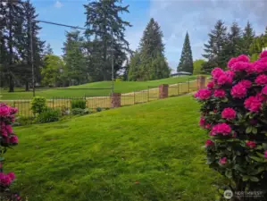 This is the view from the patio looking out to the 17th tee and fairway.