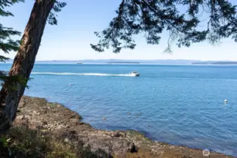Relax to enjoy the marine activities and wildlife from the recorded path to the water from the house.