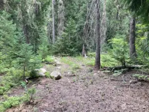There are some clearings on the lot, it is fairly heavily treed.