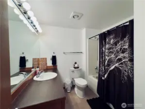 Main full bathroom, new flooring