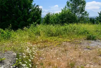 With its level terrain, protected greenbelt, and panoramic views, this homesite offers the perfect foundation to design and build a custom home that truly reflects your vision.