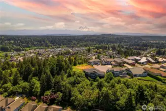 From shifting seasonal colors to dramatic weather patterns over Mount Rainier and Commencement Bay, the view evolves daily. Builders will appreciate the opportunity to frame each window, patio, and elevation around a setting that is both timeless and ever-changing.