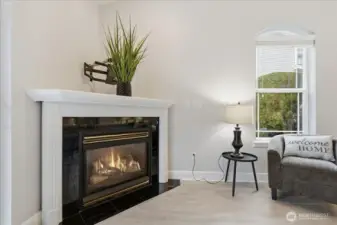 Gas Fireplace
