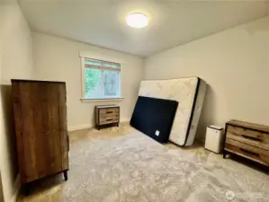 The third bedroom. All carpet is brand new.