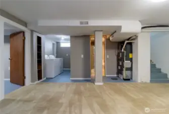 Bonus room - basement