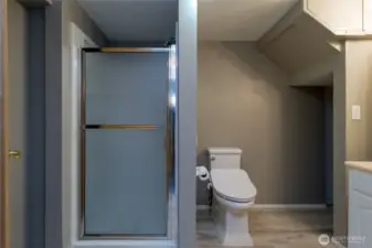 Bathroom - basement