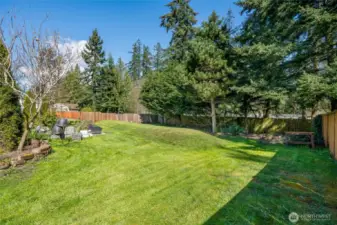 BIG backyard w/privacy tree's...