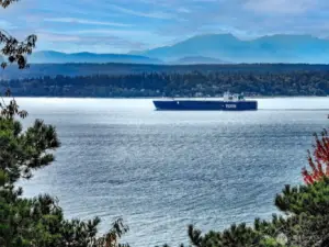 Ingeniously set into the Bluff ensconced in a 13,000+ SF wooded corner parcel, multi-level decks extend to private gardens.