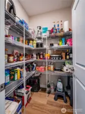 WALK IN PANTRY...KEEP THE COUNTERS FREE OF UTILITIES