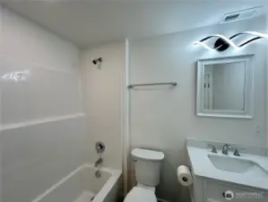 Guest bathroom