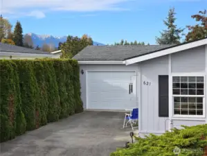View of the Olympic Mountains