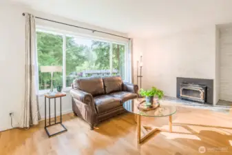 Living Room with fireplace insert and picture window to back yard