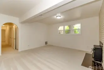 Lower level family room/rec room