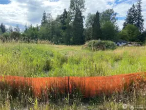 Utilities nearby and endless design potential!