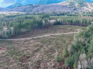 View of the site facing South.