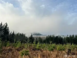 Misty mountains with an ever changing views out your future back porch.
