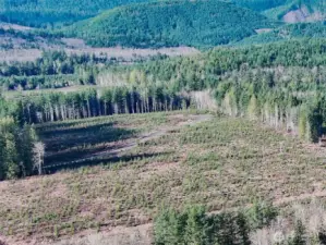 Level, usable ground Just waiting for a secluded homestead.