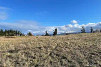 Washington Harbor Loop