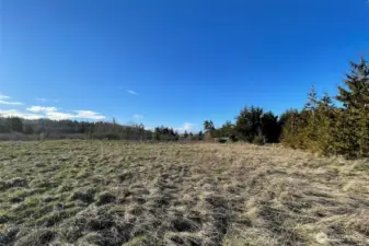 Washington Harbor Loop