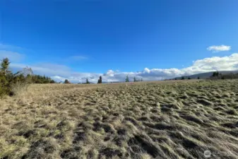 Washington Harbor Loop