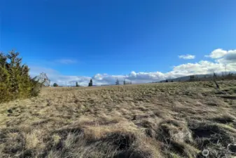 Washington Harbor Loop