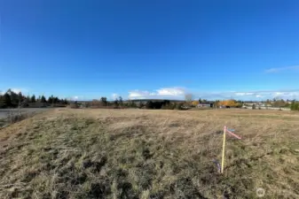 Washington Harbor Loop