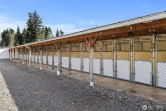 Covered outdoor kennel areas offer access to a fully fenced play areas. With secure fencing and ample room to run and explore.