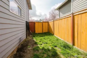 Backyard with some new fencing panels.