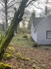 Left side view of property