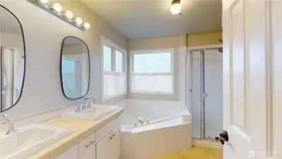 Ensuite with double sink, soaking tub, separate shower, and walk-in closet