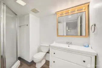 Lower level bath