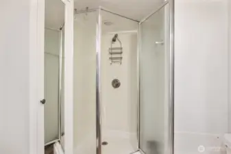 Lower level bath