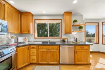 Tiled backsplash & SS appliances