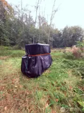 Golf cart, lawn mower & shed included