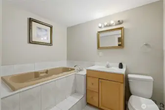 Downstairs Full Bathroom (Tub & Standing Shower)