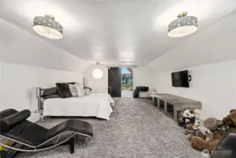 20’ x 15’5” - 4th Bedroom / Bonus Room / Flex Room  Skylight window / 7’+ ceilings  Barn door entrance / Shag carpet  Goes with Seller:         Large ball light fixture (will be capped off with a metal plate)        Wall-mount grey glossy cabinet