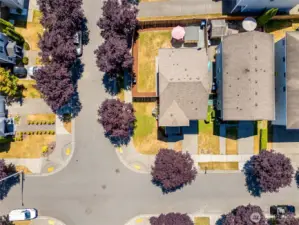 Overhead view.