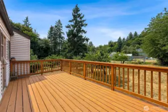 Large Deck