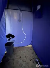 rechargeable water pump that uses water from the bucket through the shower hose which has an on and off switch!