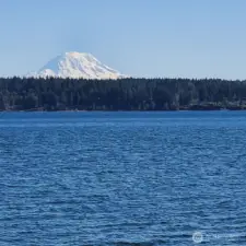 Rainier from the spit