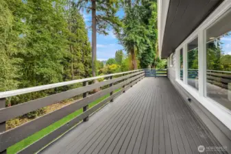 Tons of Space for Outdoor Entertaining
