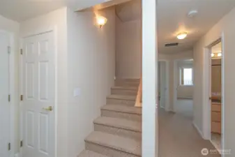 Daylight Basement