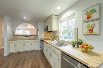 Large Stainless Sink