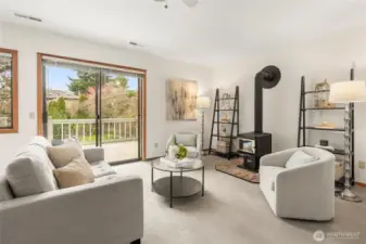 Wood stove to keep you warm on those chilly PNW evenings