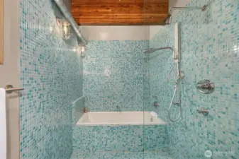 Skylit Primary tub and shower.