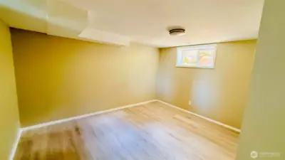3rd BR in Lower Level
