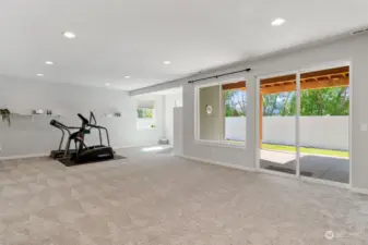 Large Rec room/daylight basement